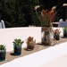 12 Succulent Wedding Favors in new Flower Pot by WoogiesPlace