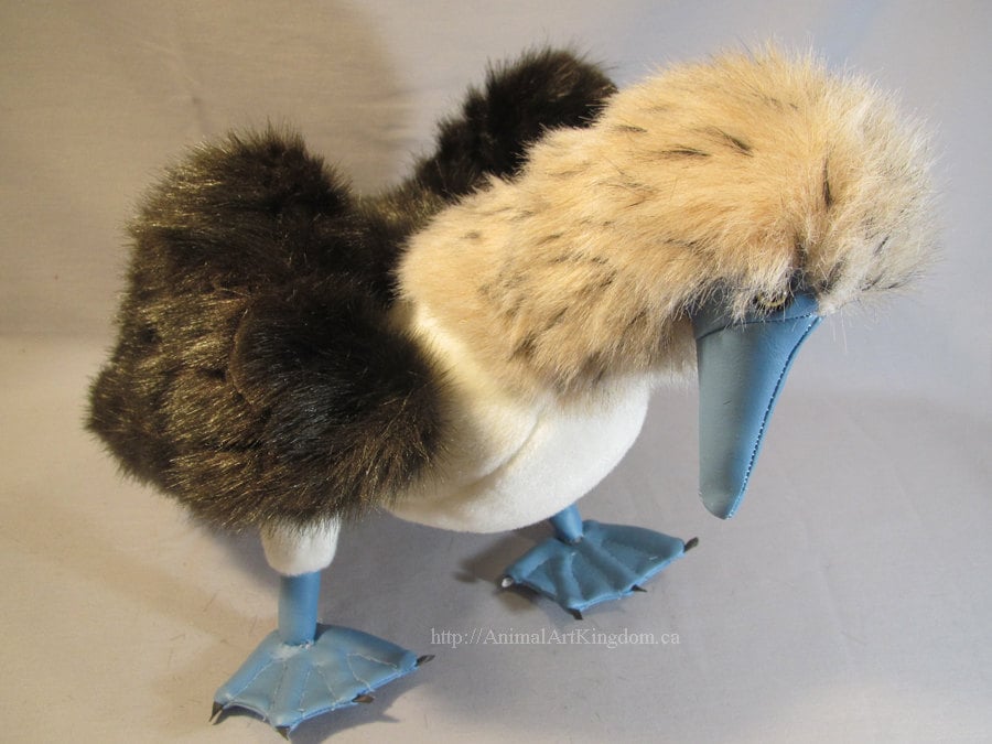 stuffed blue footed booby