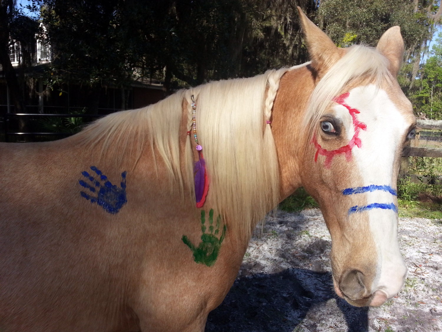 Feathers and Beads Equine Mane Dangler Ornament for Horses