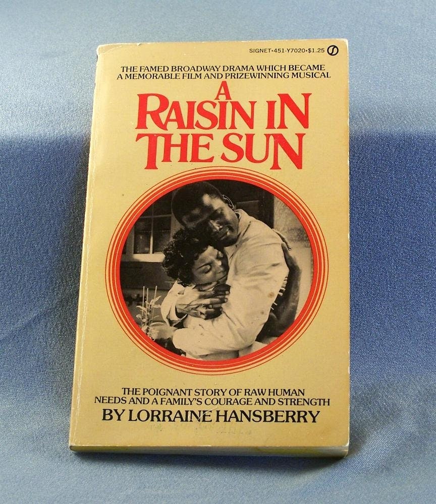 Raisin in the sun essays