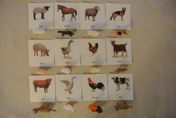 Montessori Common Farm Animals 3 Part Cards with by Papyruswork