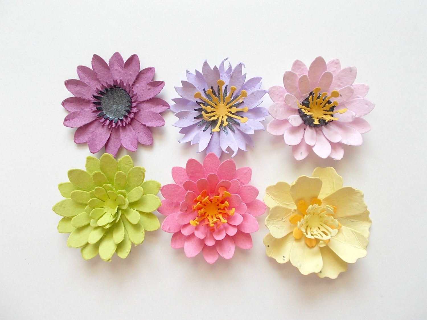 Seed Paper Flowers  - Plantable Desert Cactus Blooms Sample Pack of 6 - Eco Friendly Flowers - Plant and Grow Gardening Gift