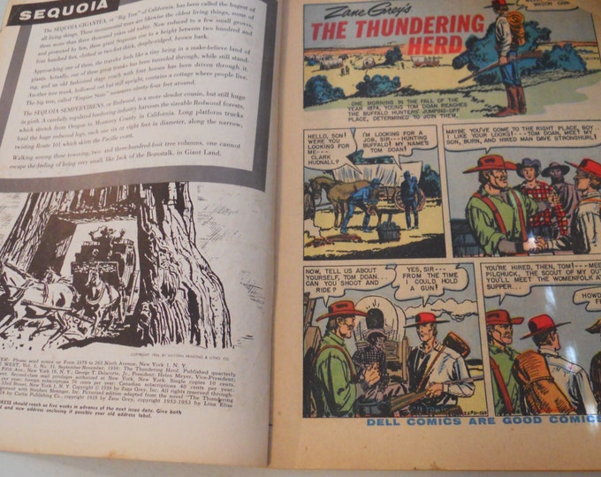 Zane Grey Vintage Comic Book, "The Thundering Herd" Vol. 1, No. 31 - Nov. 1956 Dell Vintage Comics