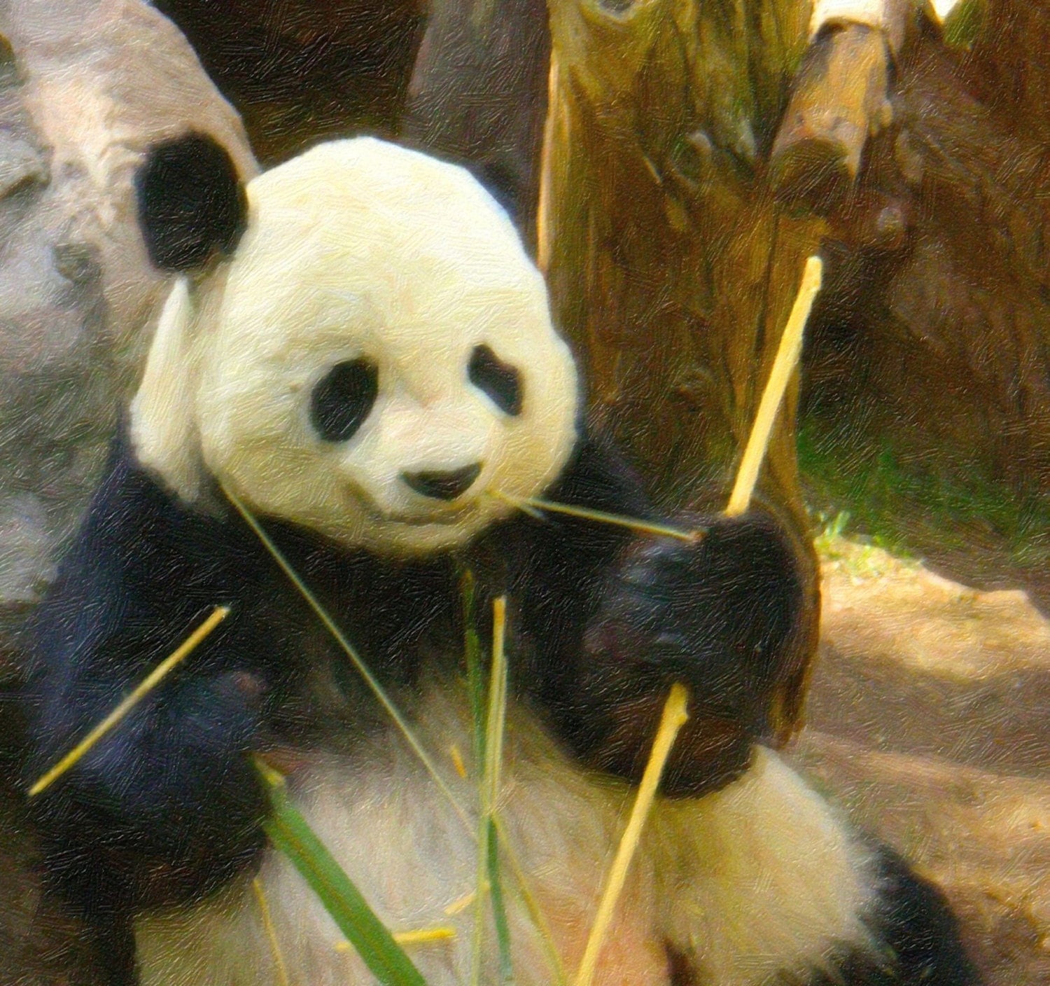 Panda Bear Print Panda Home Decor Black & White Decor Panda