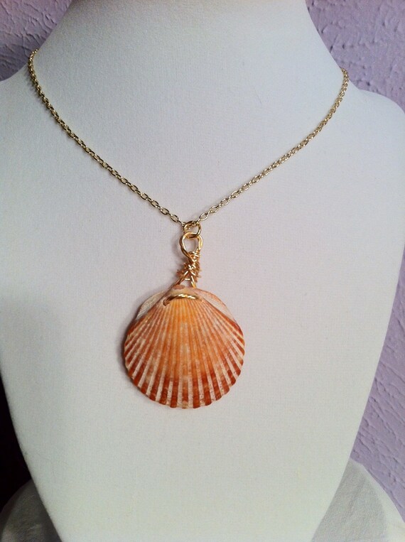 Items similar to Gold Necklace with a Real Seashell Pendant Wire ...