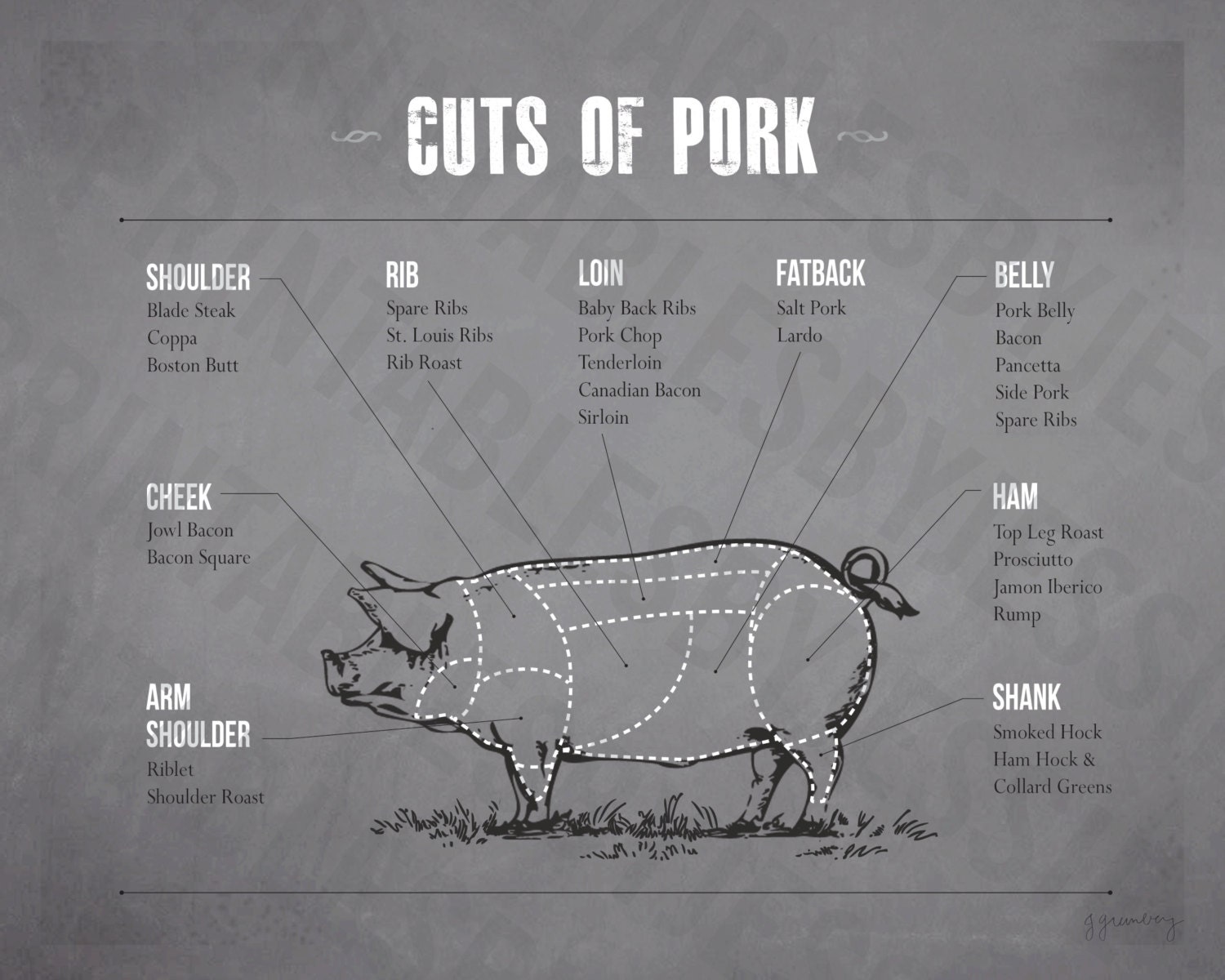 Pork Cuts Poster 11x14 Print