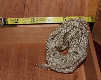 Gaboon Viper Snake Shed Skin Prepared For By Wildthingsinc On Etsy