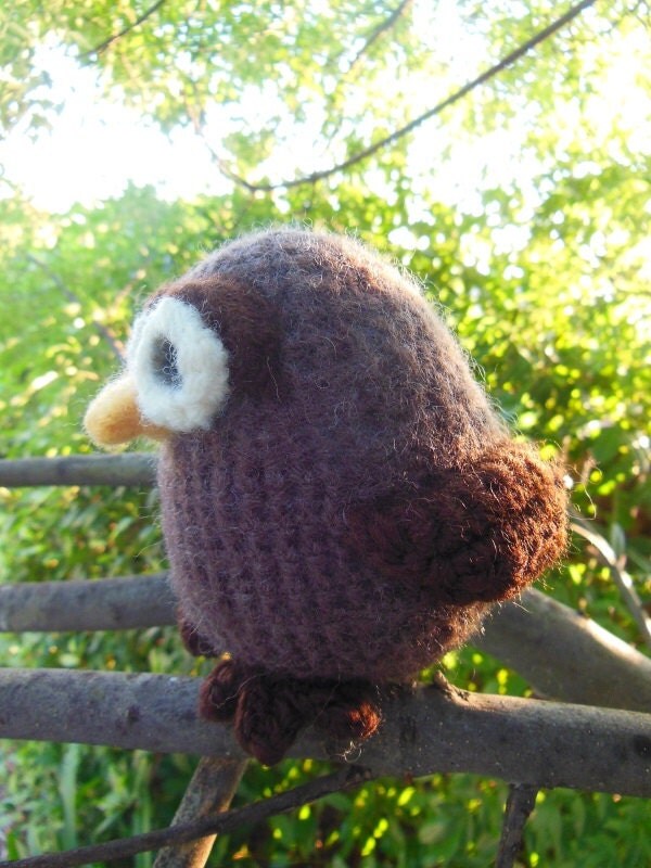 stuffed barn owl