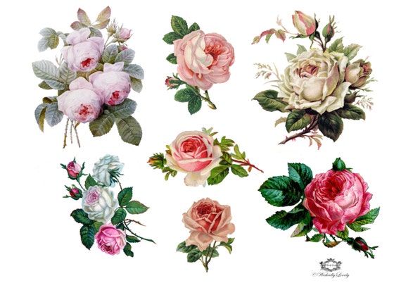 Vintage Roses Assorted Pack Of 7 Wickedly Lovely Skin Art