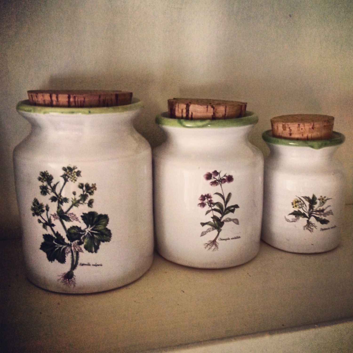 Herb Jars Set of Ceramic cork jars light tight organic kitchen