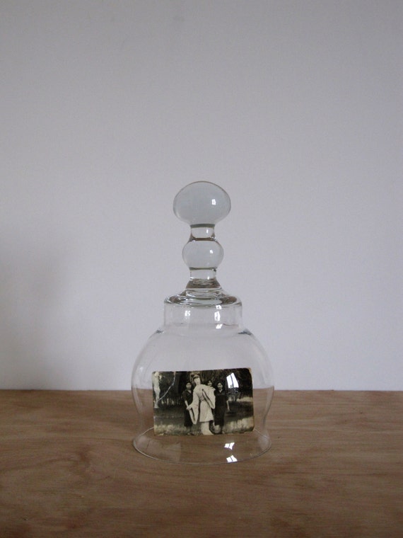 Glass Dome Cloche with Ball Knob Handle Vintage Terrarium