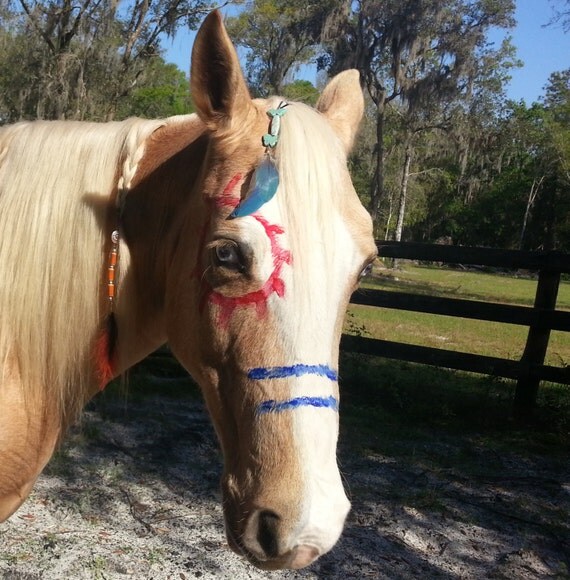 Turquoise Butterflies Equine Mane Dangler  by MyBuddyBling on Etsy