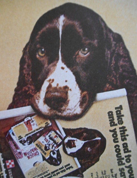 1976 AD Chuck Wagon dog food by Purina original advertisement