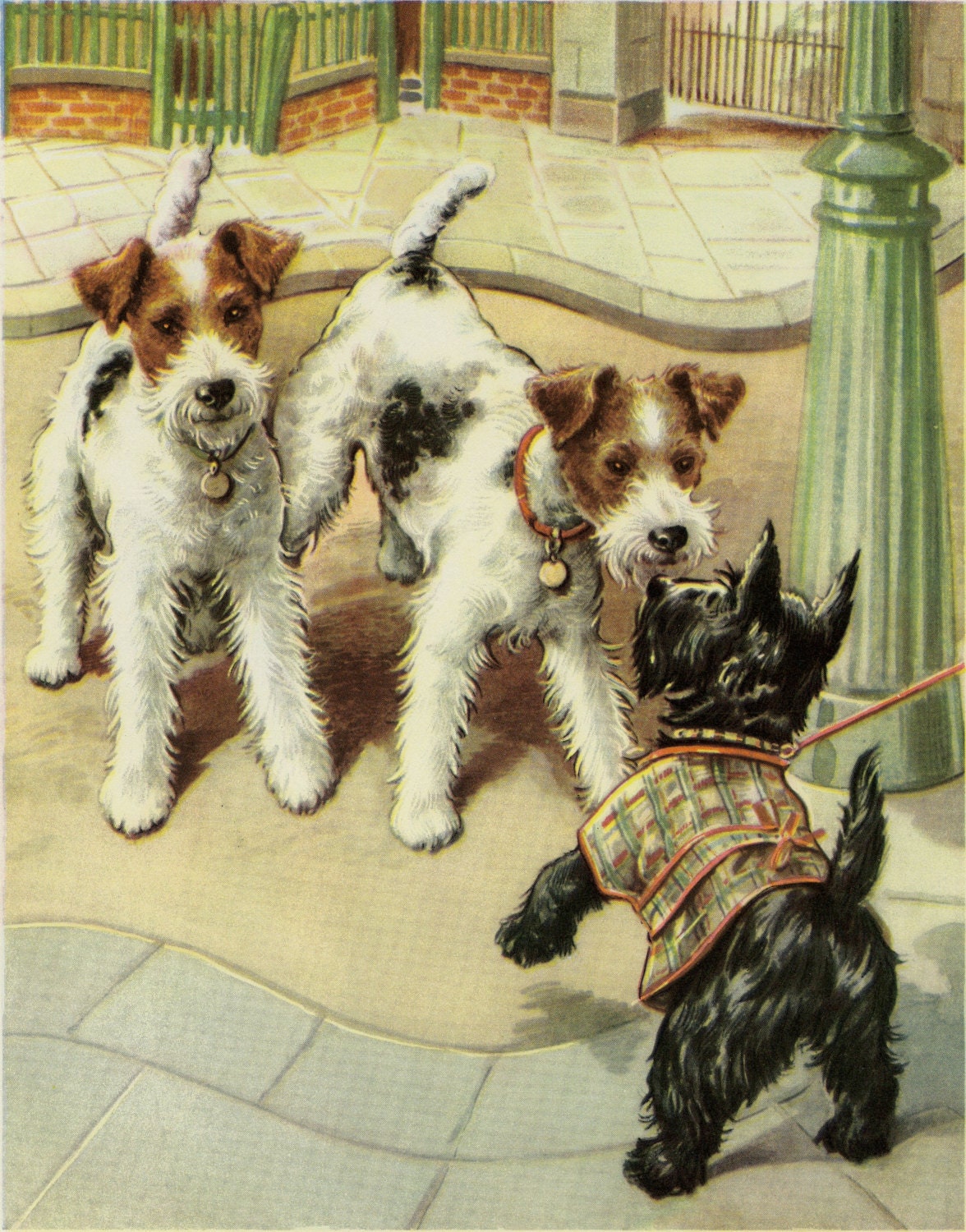 Vintage Dog Print Terrier & Scottie Puppies by Winifred Martin