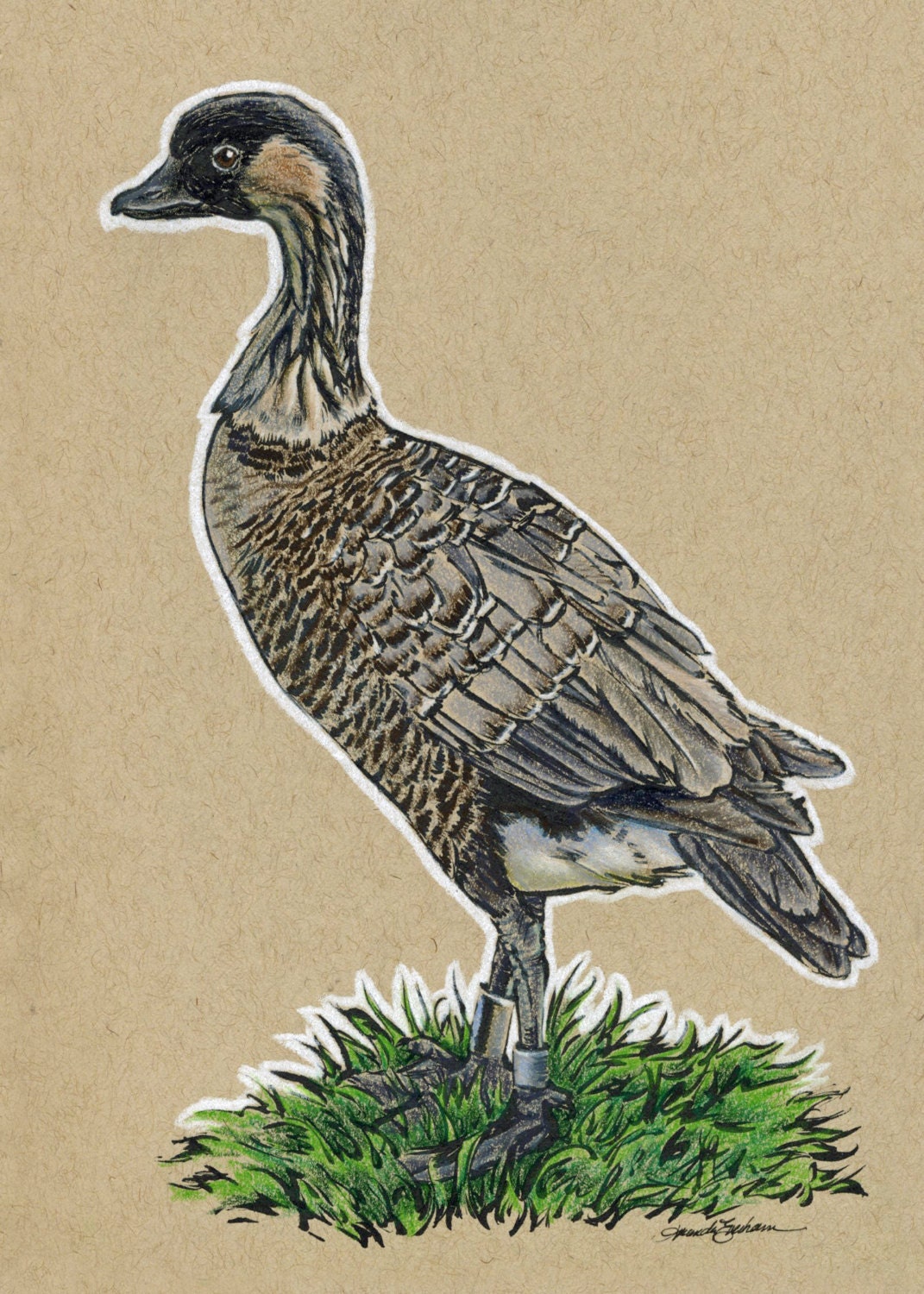 Original Art Print State Birds Hawaii Nene by TheArtingsofME