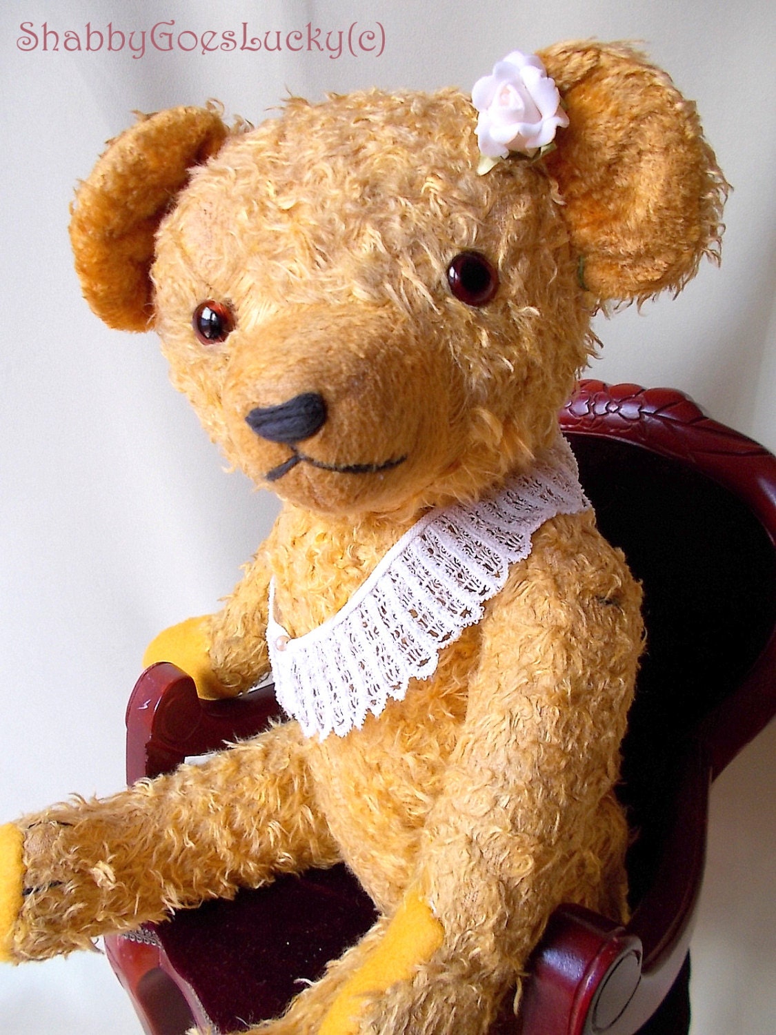 german teddy