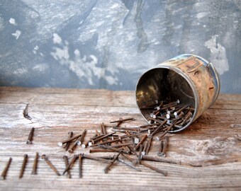 Antique Square Nails 1800s, Salvaged Lath Board Nails: Set of 10 - Steampunk Assemblage Art