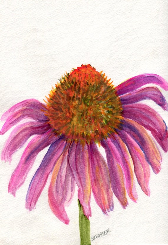 Coneflower watercolors painting Original Echinacea painting 7