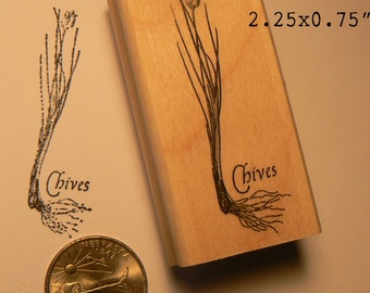 Chives rubber stamp WM P55