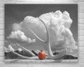 Surreal Black and White Photography, Pomegranate Art, Still Life Art, Fine Art Photography, Murray Bolesta Surreal Black and White Photography, Pomegranate Art, Still Life Art, Fine Art Photography, Murray Bolesta