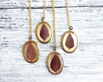 Leaf Necklace Real Pressed Leaf Red Botanical Jewelry Nature Pendant Resin Spirea Leaf Plant Minimalist Gardener Naturalist Gift