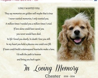 Personalized pet memorial photo with poem I only wanted you Dog cat ...