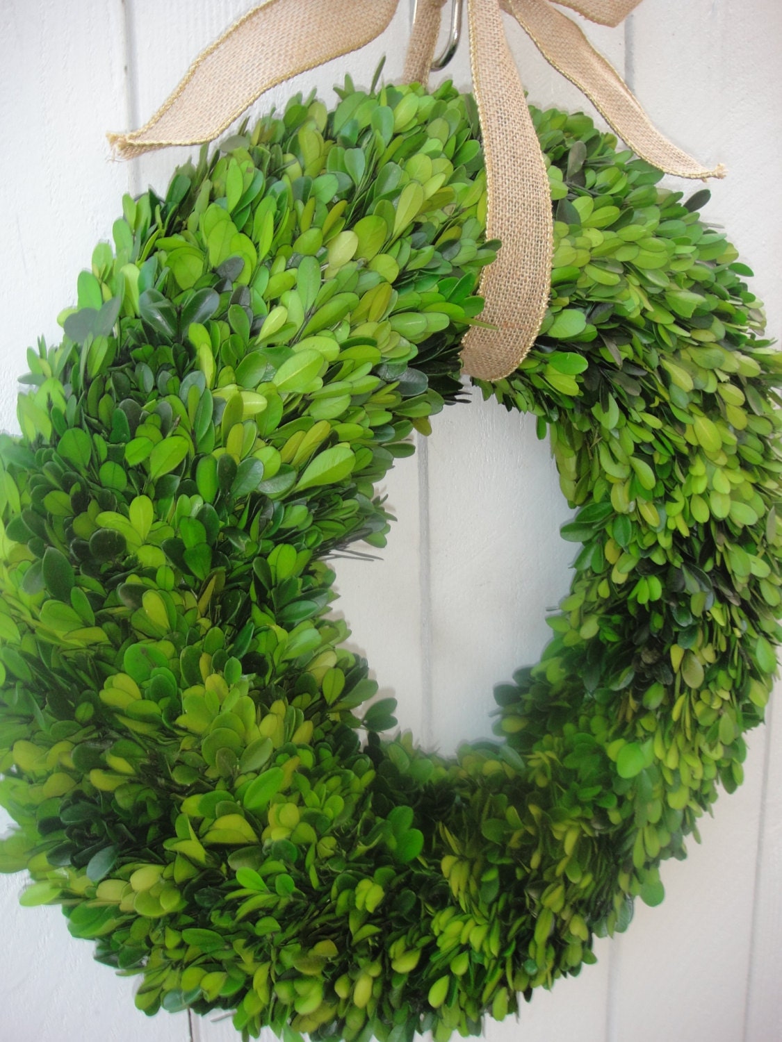 2. Verdant Charm: Delicate Preserved Boxwood Wreath