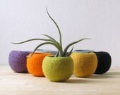 Felt succulent planter / Cactus terrarium / Colorful felt vase / green felt bowl / Make your own collection!