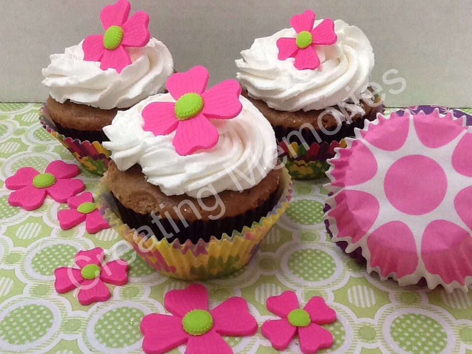 Edible FLOWERS Cupcake or Cake Decorations Pink and Green or