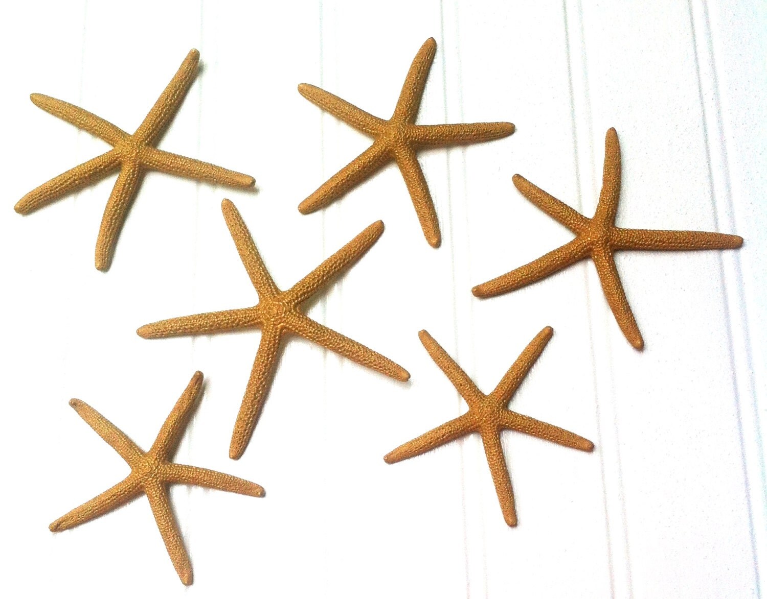 Gold ornament starfish set of 6 painted holiday Christmas tree table garland mantle wreath stocking bag tag decor glitz glitter sparkle