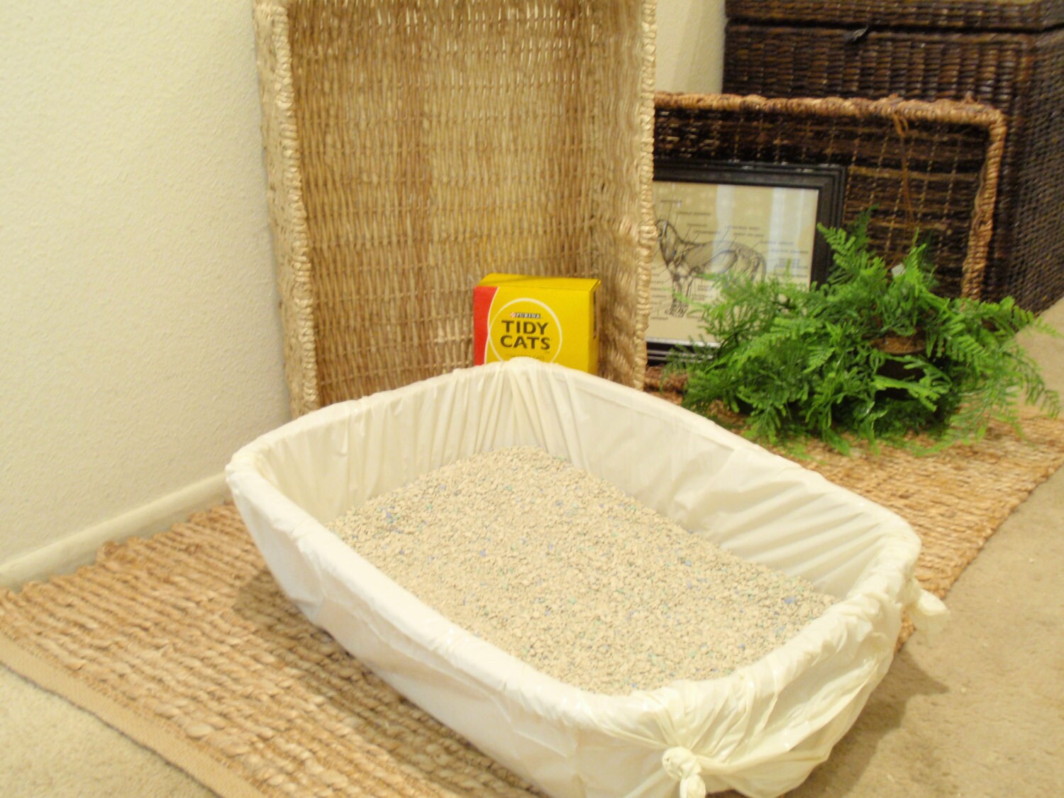 Zen Cat Litter Box Set Cat Litter Box for the by LeafAndGrain