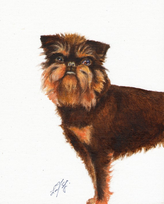 Original Oil Art BRUSSELS GRIFFON Portrait Painting DOG Artist