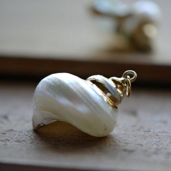 1 REAL Pearl Turbo Shell with 24K Gold by ingredientsforlovely
