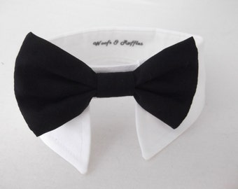Dog Tuxedo White Shirt Collar and Dog Black Bow SET - bridal formal wear -