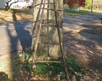 Rare FRENCH ANTIQUE apple picking/ORCHARD ladder Local pick up only