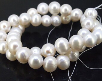 One strand Full Strand White Freshwater Pearl Beads ----- 10mm----- - gemstone beads--- 15.5" in length