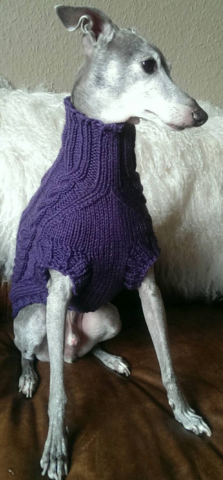 Italian Greyhound Cabled Sweaters CUSTOM by ChestersCloset