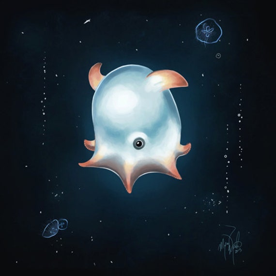 Items similar to Dumbo octopus, 6x6 fine art giclee print, octopus art ...