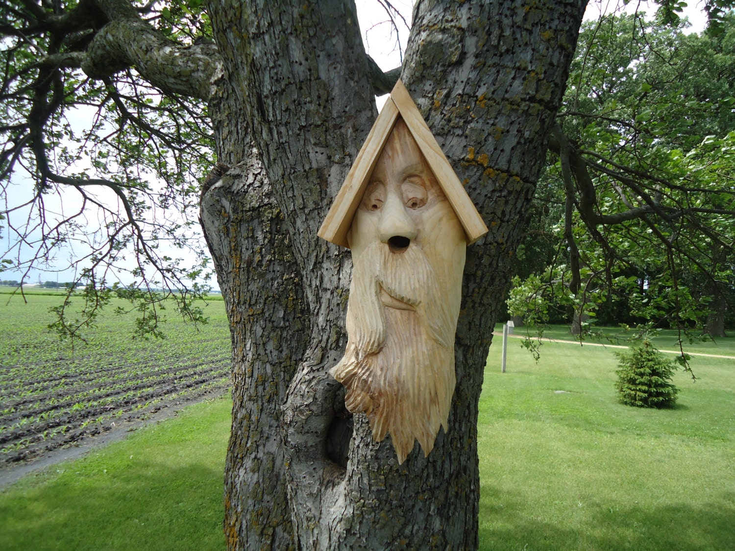 Hand carved Cedar wood birdhouse Wood birdhouse face Cedar