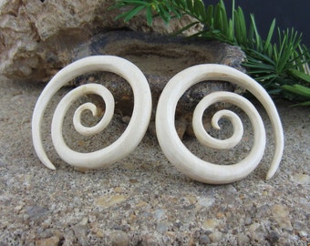 spiral gauge earrings