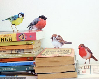 Small british bird decals- unique wall stickers from lola murals- sparrow, robin, yellow tit, bullfinch