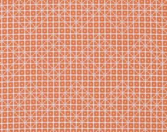 SALE Botanique Domino in Apricot Fabric by Joel Dewberry for Free Spirit