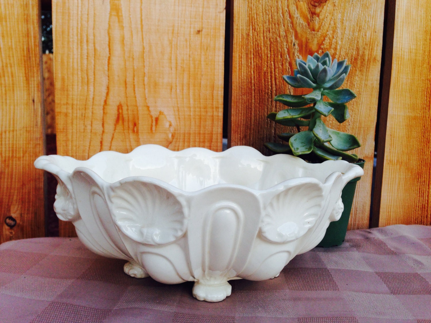 White Pedestal Shell Bowl Haute Juice