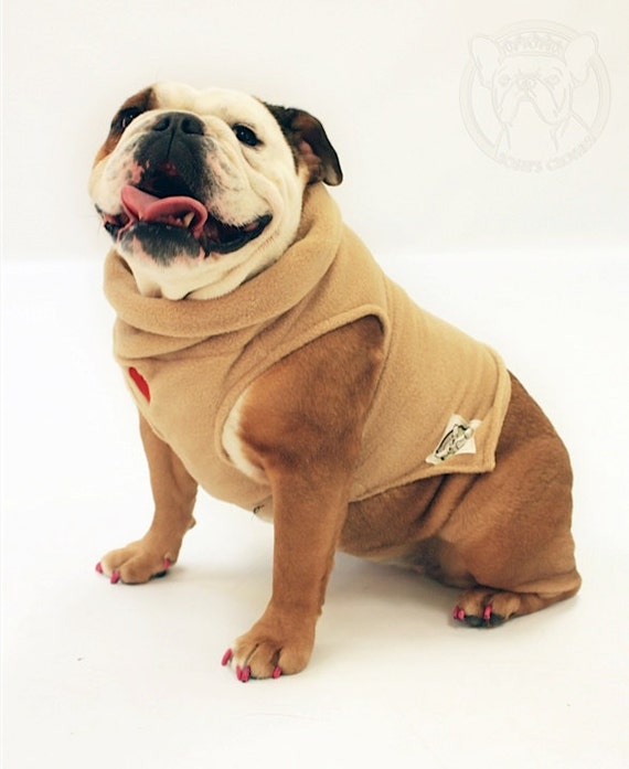 english bulldog plush