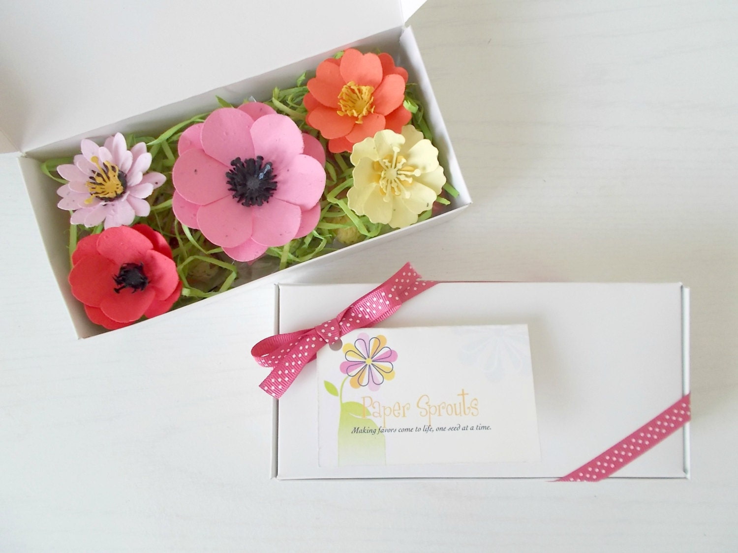 Plantable Paper Flower and Seed Bomb Sample Set - Unique Gardening Gift - Eco Friendly Paper Embedded with Flower Seeds!