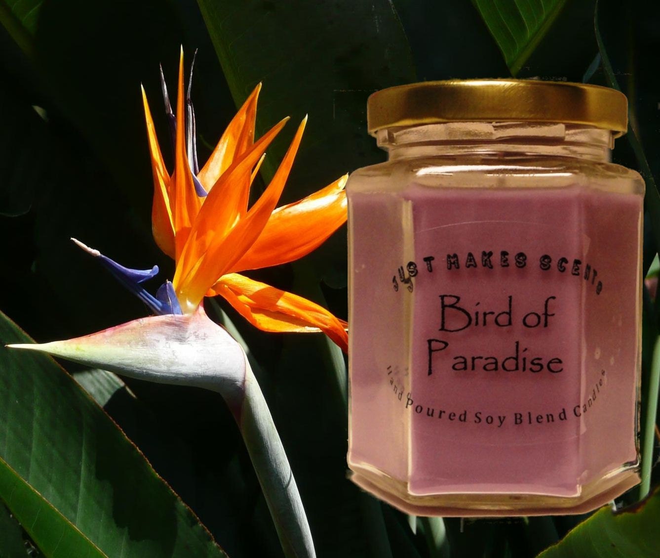 Bird of Paradise Blended Soy Candle Spring Floral Collection