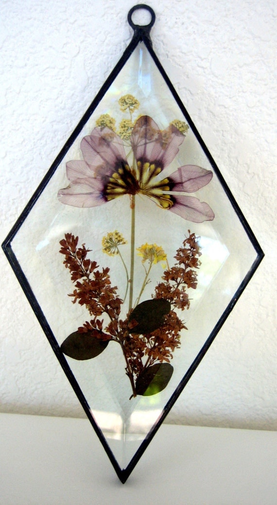 Stained Glass Pressed Flower Bevel Suncatcher