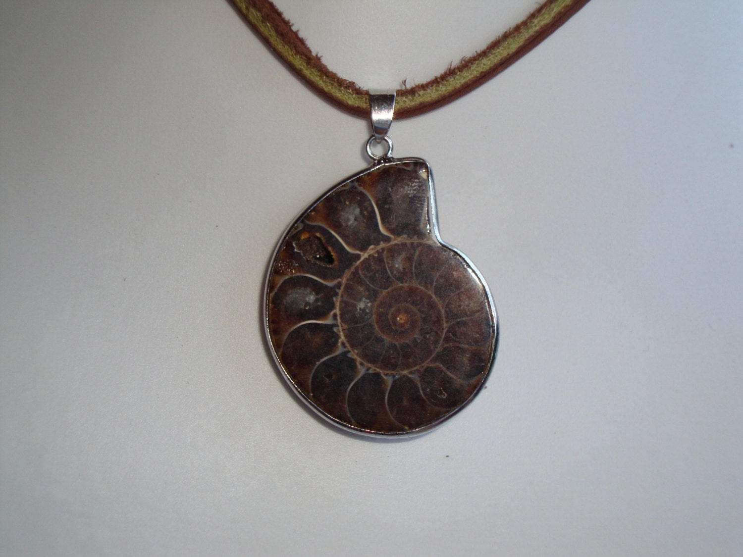 Ammonite fossil necklace Clearance