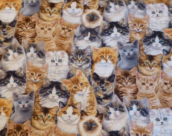 Cotton Fabric, Adorable Pets - Cats by Elizabeth's Studio, By the Yard, 44/45 inches Wide N131
