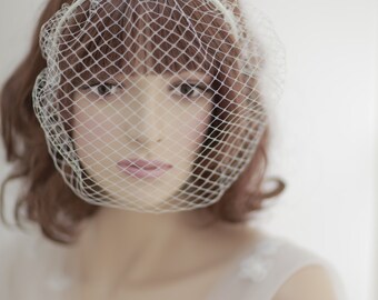 Birdcage veil headband---v226